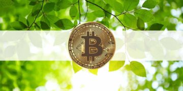 Bitcoin Maintains $30K as Altcoins Consolidate (Market Watch)