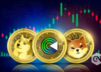 Boundless Returns? Invest in Shiba Inu (SHIB), Dogecoin (DOGE), and Gnox Token (GNOX)!