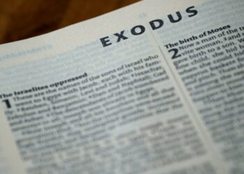 Not Cardano, Ethereum or Litecoin but outflows were solely focused on…