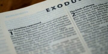 Not Cardano, Ethereum or Litecoin but outflows were solely focused on…