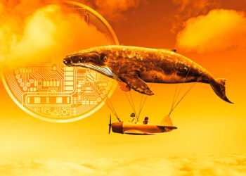 World’s Biggest Ethereum Whales Accumulate Aave, Compound and Four Additional Altcoins: On-Chain Data