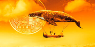 World’s Biggest Ethereum Whales Accumulate Aave, Compound and Four Additional Altcoins: On-Chain Data