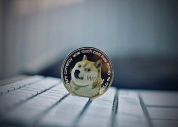 Dogecoin And Elon Musk: An Alliance Under Pressure? (DOGE-USD)