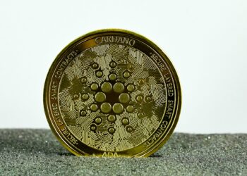 Cardano Pushes Out Final Node, Vasil Hard Fork On Schedule