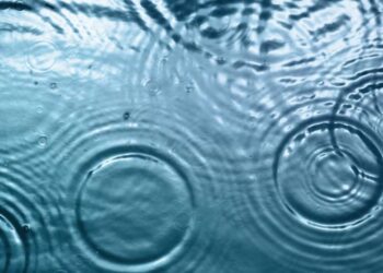 What Is XRP (Ripple)? – Forbes Advisor Canada