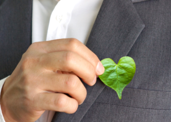 What Are The Cryptocurrencies That Are Kinder to Nature?