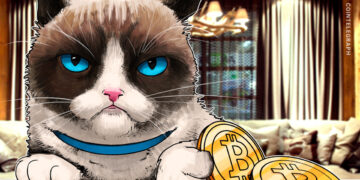 Cat spoils Bitcoin node during price crash with ‘dirty protest’