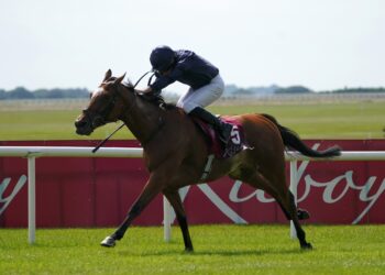 Lily Pond causes more than a ripple at the Curragh