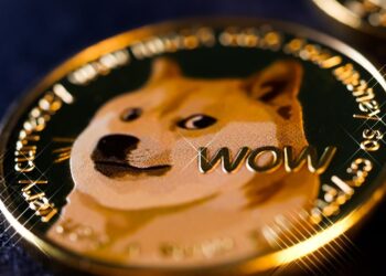 Ever Wonder How Dogecoin Investors Are Faring In The Bear Market?