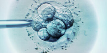 Roe’s ripple effect on IVF