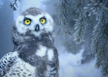 Litecoin falls beneath a bullish order block, could $40 be next target