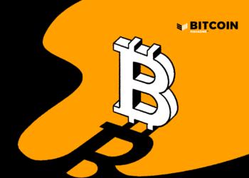 Bitcoin Down But Never More Compelling – Bitcoin Magazine