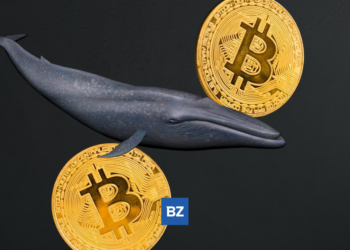 Bitcoin Whale Moves 3,492 BTC Off Coinbase
