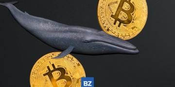 Bitcoin Whale Moves 3,492 BTC Off Coinbase