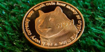 Dogecoin Price Predictions: Where Will Boring Take DOGE Crypto?
