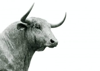 Will Litecoin’s wildly bullish reaction to Fed see LTC cross $60