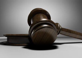 U.S. SEC Alleges That These Nine Altcoins Are Securities