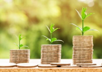 Here’s the true worth of AXS holders despite alt’s 91% slump