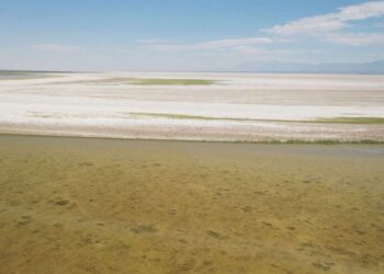 Great Salt Lake dry-up causing dangerous climate ripple effect, ecologists say