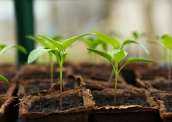 This is how the crypto market, especially BTC and ETH, reacted amid latest Fed hike