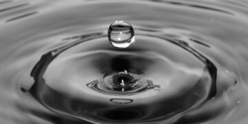 What is XRP? – Forbes Advisor Australia