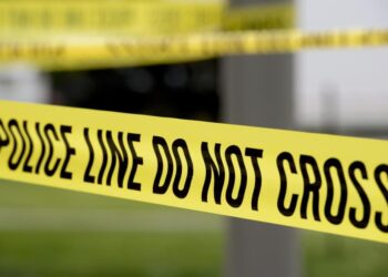 Boston ‘one-man crime wave’ charged with another ripple