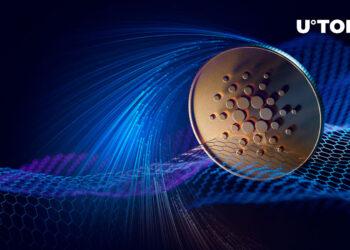 Here’s How Cardano’s Peer-to-peer Networking Aids Blockchain: Details
