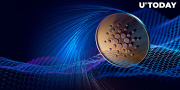 Here’s How Cardano’s Peer-to-peer Networking Aids Blockchain: Details