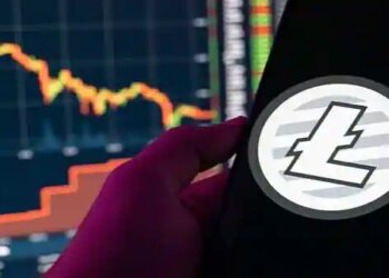 Petrousus, Litecoin, and Cardano – Profitable Decentralized Finance Ecosystems