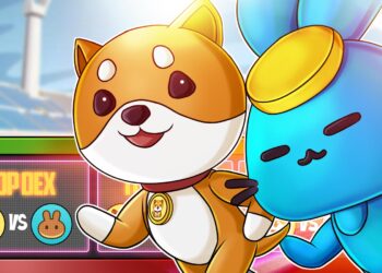 Can Baby Doge Coin Challenge PancakeSwap as BNB’s Top DEX?