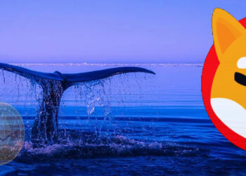 Shiba Inu Holdings Reduced By Ethereum Whales 