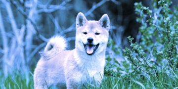 SHIB Jumps 9% As Token Burn Intensifies