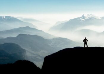 10 Best Altcoins Of 2022 – Forbes Advisor