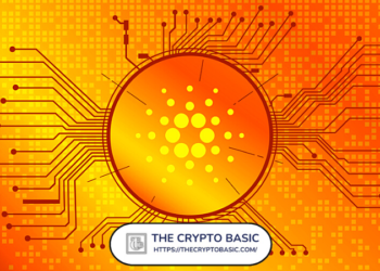 Leading Fintech Company Adopts Cardano Stablecoin (Djed) As a Payment Option