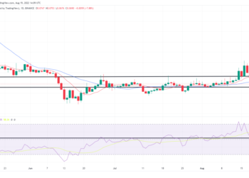 DOGE Extends Recent Declines, Falling by Nearly 15% on Friday – Market Updates Bitcoin News
