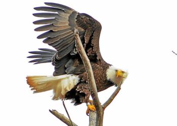 Ripple effects of everyday decisions