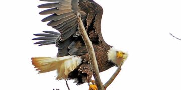 Ripple effects of everyday decisions