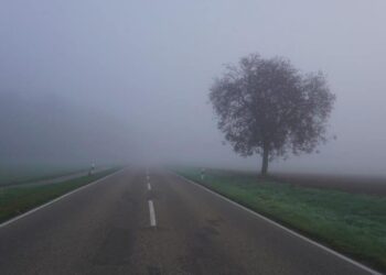 Litecoin [LTC] investors must know that chances of capitulation are…