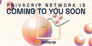 Whale Activity Could Hinder Bitcoin Breaking Its $24800 Support Level. What About Cardano and PrivaCrip?