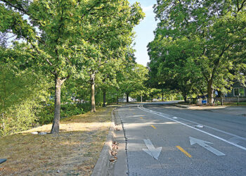 East Austin Doesn’t Get the Same Shade, and Consequences Ripple for Health and Equity: Beating the heat – News