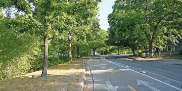 East Austin Doesn’t Get the Same Shade, and Consequences Ripple for Health and Equity: Beating the heat – News