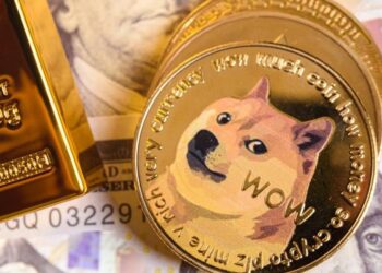 It’s Now Or Never For DOGE