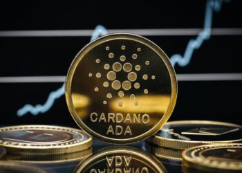 How Many Cardano Are There?