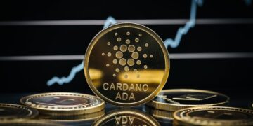 How Many Cardano Are There?