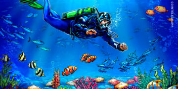 How to find NFT metadata on OpenSea and Rarible?