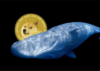 Dogecoin (DOGE) Is On Top Of Whales’ Menu