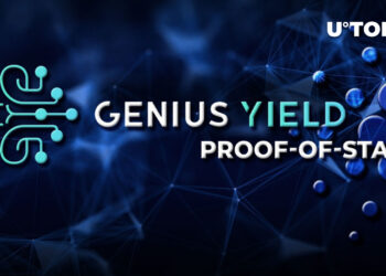 Interview with Genius Yield Team