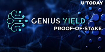 Interview with Genius Yield Team