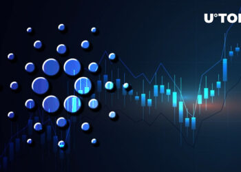Cardano Records Eighth Consecutive Week with Positive Funds Flow: Details