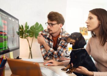 ​​Crypto Prices Continue to Struggle, but These 3 Altcoins Are Worth Watching in September